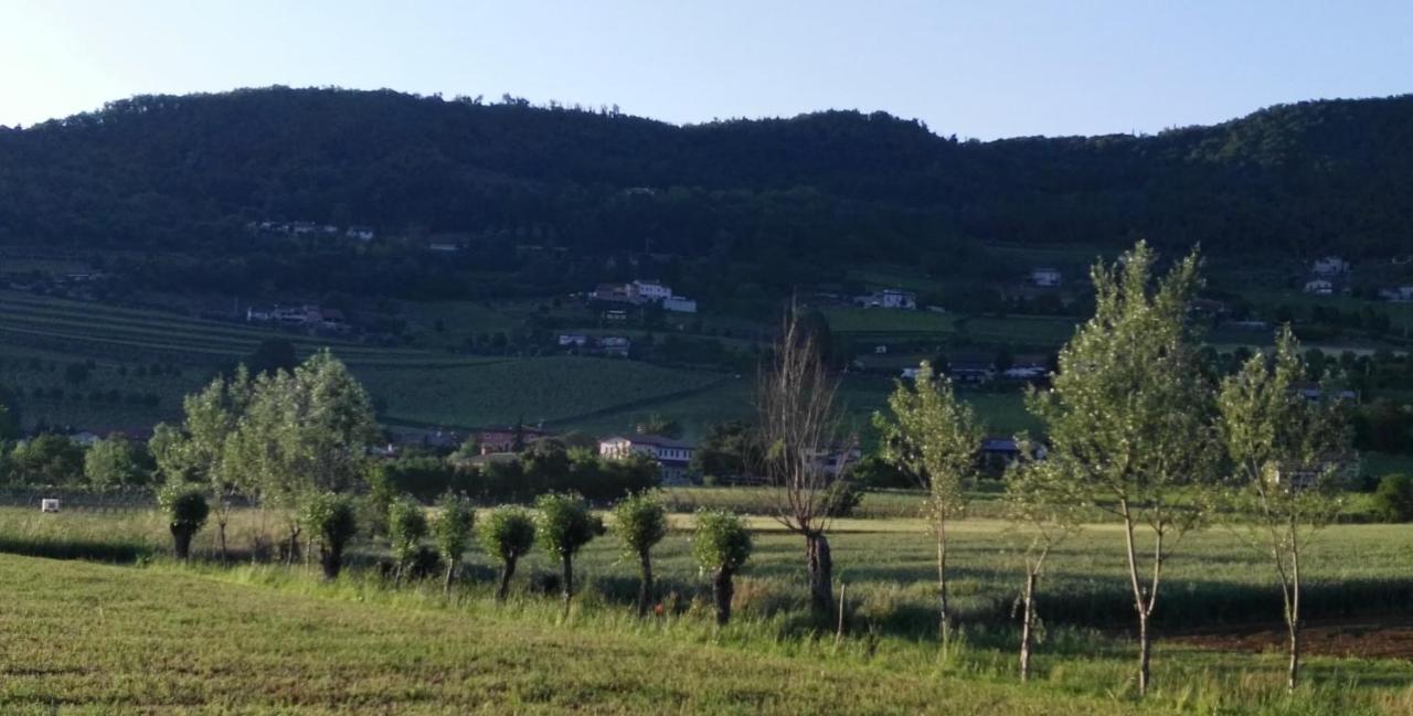La Pergola Alloggio Brendola Dış mekan fotoğraf