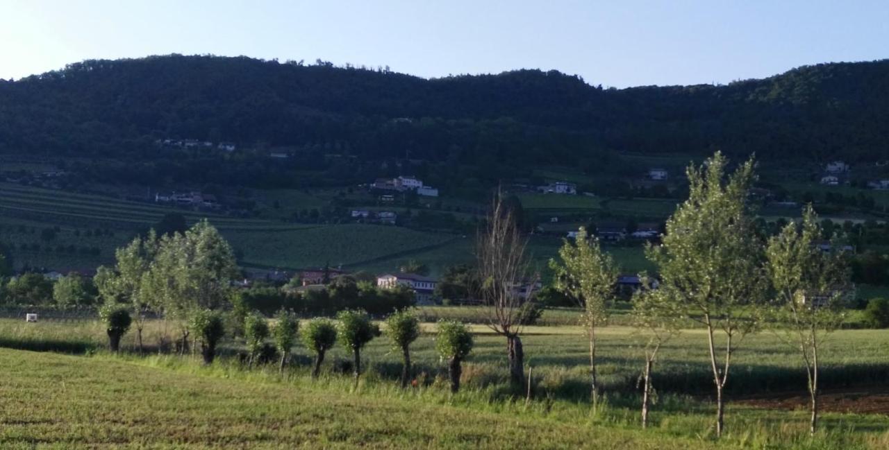 La Pergola Alloggio Otel Brendola Dış mekan fotoğraf