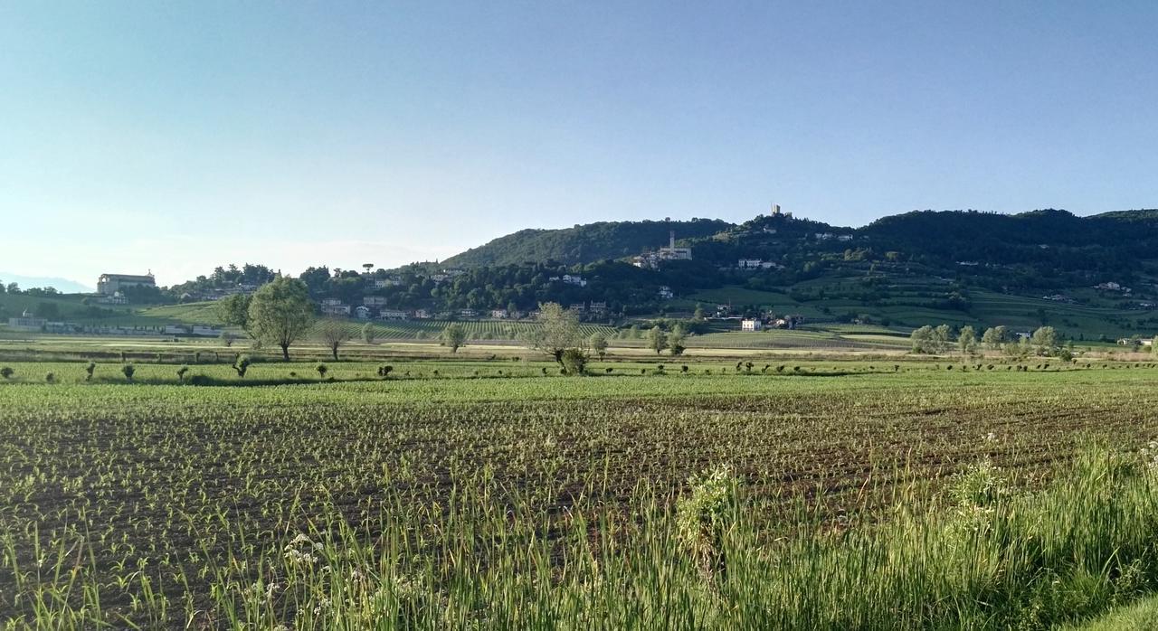 La Pergola Alloggio Brendola Dış mekan fotoğraf